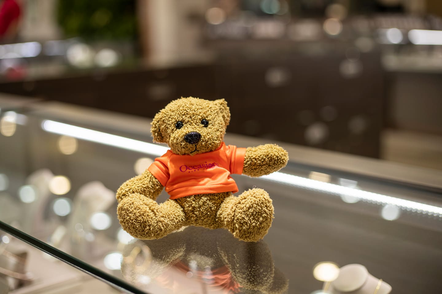 Occasions Teddy