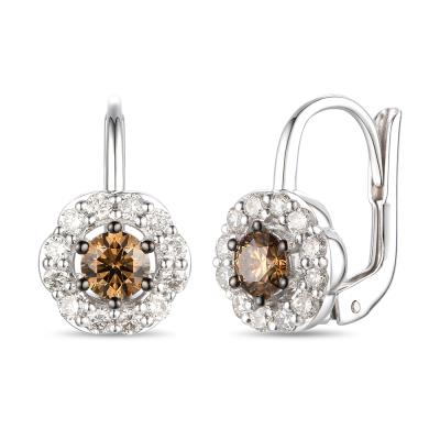 Drop Diamond Earrings - Diamond Earrings